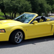 Illustration for article titled At $19,900, Would You Let This 2003 Ford Mustang Cobra Sink Its Fangs Into Your Wallet?